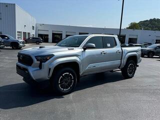 2024 Toyota Tacoma for sale in Kingsport TN