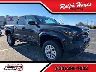 2024 Toyota Tacoma for sale in Anderson SC