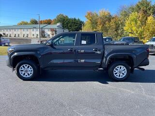 2024 Toyota Tacoma for sale in Morristown TN