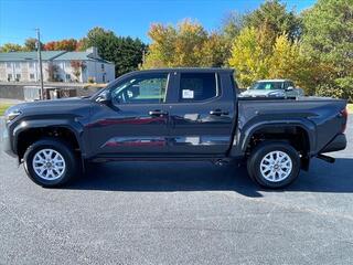 2024 Toyota Tacoma for sale in Morristown TN