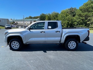 2025 Toyota Tacoma for sale in Morristown TN
