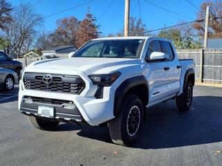 2024 Toyota Tacoma for sale in Kirkwood MO