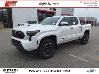 2024 Toyota Tacoma for sale in Florence KY