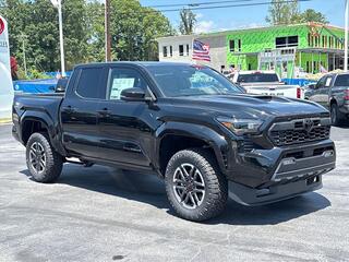 2026 Toyota Tacoma for sale in Hendersonville NC