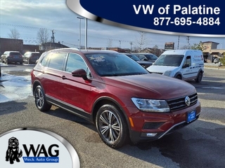 2019 Volkswagen Tiguan for sale in Mt. Prospect IL