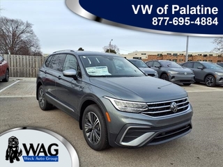 2024 Volkswagen Tiguan for sale in Mt. Prospect IL