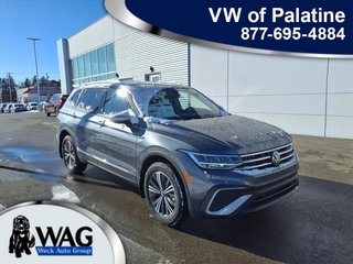 2024 Volkswagen Tiguan for sale in Mt. Prospect IL