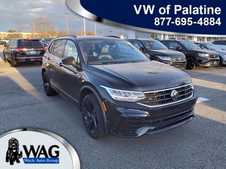 2024 Volkswagen Tiguan for sale in Mt. Prospect IL