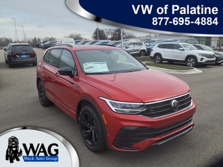 2024 Volkswagen Tiguan for sale in Mt. Prospect IL