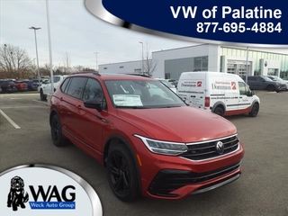 2024 Volkswagen Tiguan for sale in Mt. Prospect IL