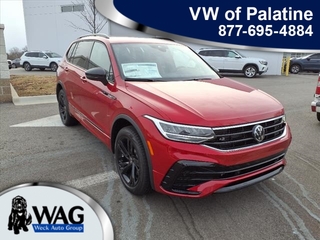 2024 Volkswagen Tiguan for sale in Mt. Prospect IL