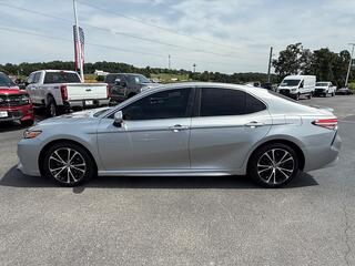 2019 Toyota Camry for sale in Dandridge TN