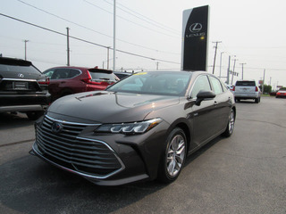 2019 Toyota Avalon Hybrid for sale in Toledo OH