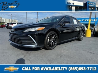 2021 Toyota Camry for sale in Knoxville TN