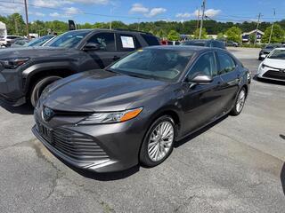 2020 Toyota Camry Hybrid for sale in Kingsport TN