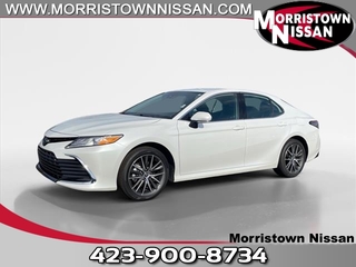 2023 Toyota Camry Hybrid for sale in Morristown TN