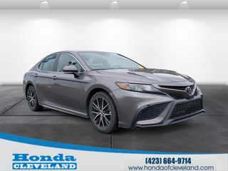 2023 Toyota Camry for sale in Cleveland TN