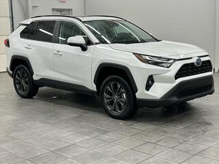 2023 Toyota RAV4 Hybrid for sale in Murray KY