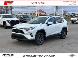 2025 Toyota RAV4 Hybrid for sale in Florence KY