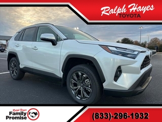 2025 Toyota RAV4 Hybrid for sale in Anderson SC