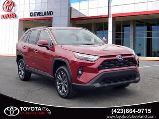 2024 Toyota RAV4 Hybrid for sale in Mcdonald TN