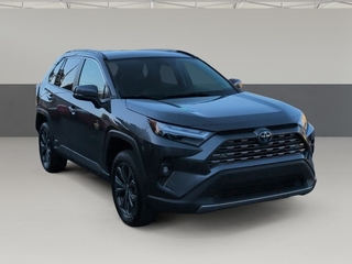 2023 Toyota RAV4 Hybrid for sale in Chattanooga TN