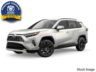 2021 Toyota RAV4 Hybrid for sale in Knoxville TN