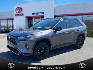 2024 Toyota RAV4 Hybrid for sale in Kingsport TN