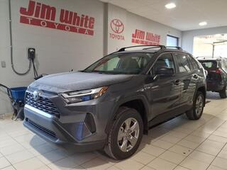 2025 Toyota RAV4 Hybrid for sale in Toledo OH