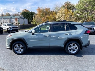 2023 Toyota RAV4 Hybrid for sale in Morristown TN