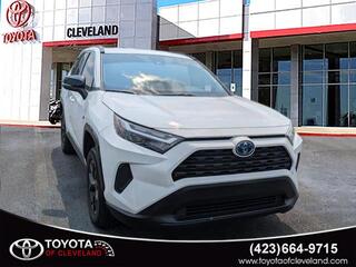 2024 Toyota RAV4 Hybrid for sale in Mcdonald TN
