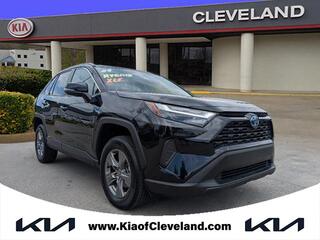 2024 Toyota RAV4 Hybrid for sale in Cleveland TN