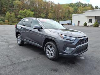 2024 Toyota RAV4 Hybrid