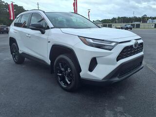 2025 Toyota RAV4 Hybrid for sale in New Bern NC