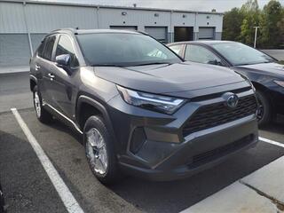 2024 Toyota RAV4 Hybrid for sale in Lynchburg VA