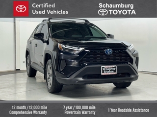 2024 Toyota RAV4 Hybrid for sale in Schaumburg IL