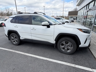 2024 Toyota RAV4 Hybrid for sale in Bristol TN