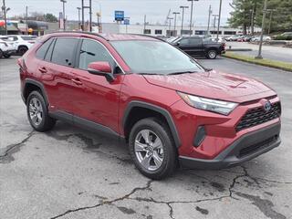 2024 Toyota RAV4 Hybrid