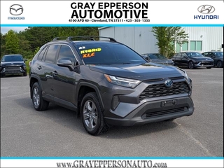 2022 Toyota RAV4 Hybrid for sale in Cleveland TN