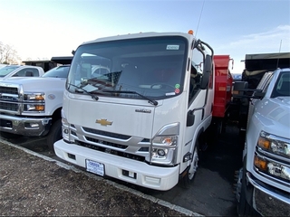 1994 Chevrolet 4500 HG LCF Gas