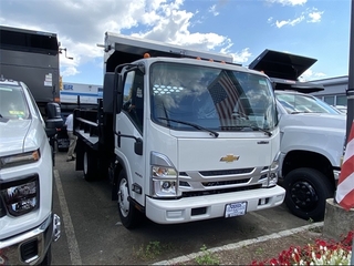 1994 Chevrolet 4500 HG LCF Gas