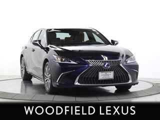 2019 Lexus ES 300h for sale in Schaumburg IL