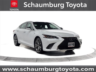 2019 Lexus ES 350 for sale in Schaumburg IL
