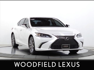 2019 Lexus ES 350 for sale in Schaumburg IL