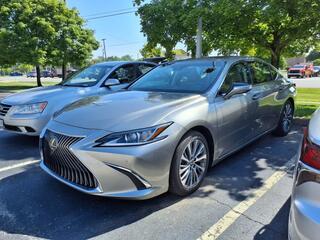 2019 Lexus ES 350 for sale in Toledo OH