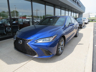 2019 Lexus ES 350 for sale in Toledo OH