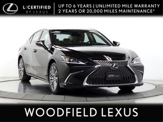2019 Lexus ES 350