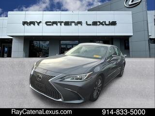 2019 Lexus ES 350 for sale in Larchmont NY