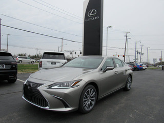 2019 Lexus ES 350 for sale in Toledo OH