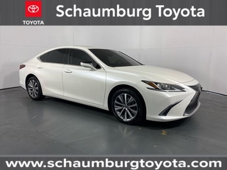 2019 Lexus ES 350 for sale in Schaumburg IL